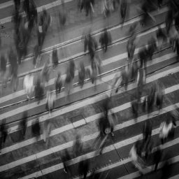 Identity, Bias, and Calculating Risk